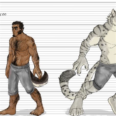 werecat vs werewolf|Werewolf Vs. Werecat transformation